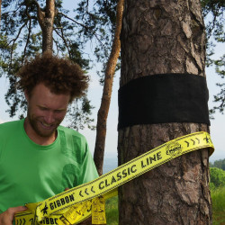 TREEWEAR