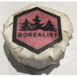 Roku vasks Borealist Climb