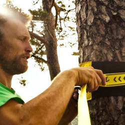 Lentas komplekts CLASSICLINE XL TREEWEAR