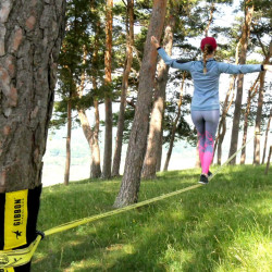 CLASSICLINE XL TREEWEAR
