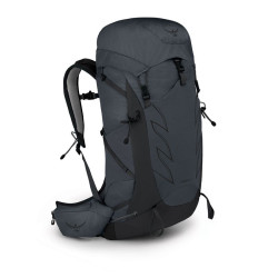 Talon 33