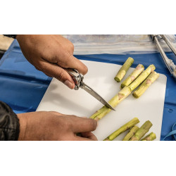 Multitool CURL