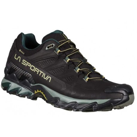 Apavi ULTRA RAPTOR II Leather GTX Black Cedra