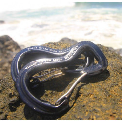 Karabīne CARABINER, 10kN pair