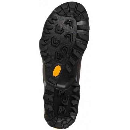 TX HIKE GTX Carbon Safron