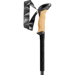 Trekinga nūjas BLACK SERIES Carbon SL2 Plus