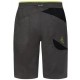 Šorti BLEAUSER Short M Carbon Lime punch