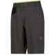 Šorti BLEAUSER Short M Carbon Lime punch