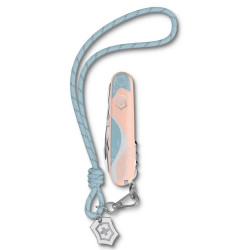 Nazis COMPANION Paris Style