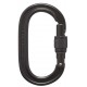 Karabīne OVAL KEYLOCK SCRWGT CARABINER