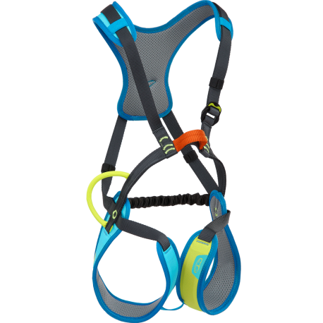 Flik Full-Body harness