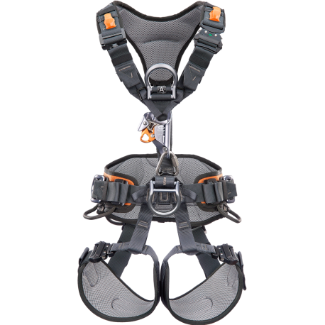 GRYPHON HARNESS W/CHEST