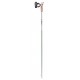 PASSION nordic walking poles