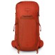 Talon Pro 30 backpack