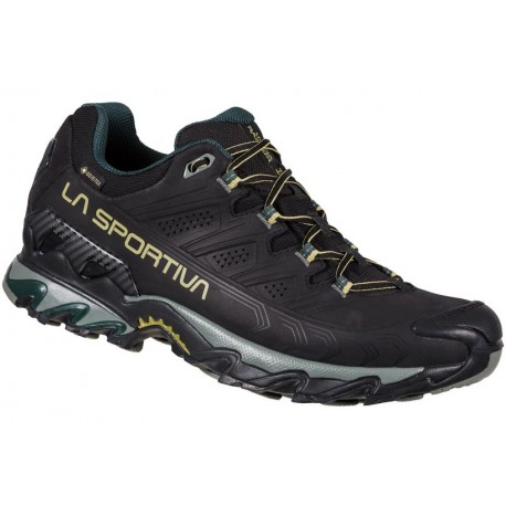 ULTRA RAPTOR II Leather Wide GTX Black Cedar