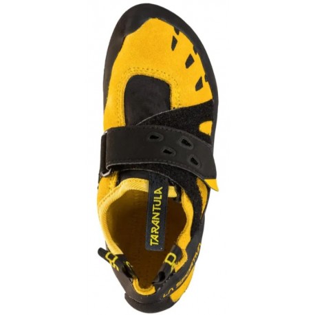 TARANTULA JR Yellow Black