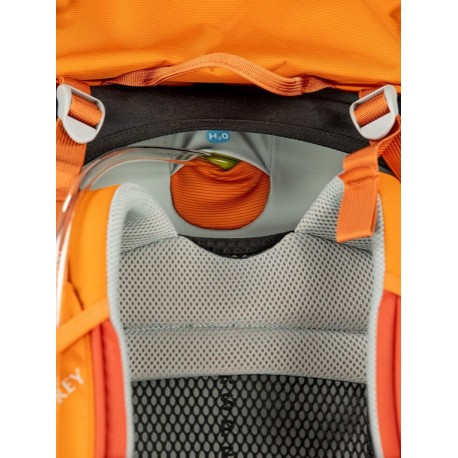 Kids backpack Ace 50