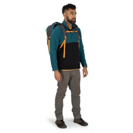 Daylite Travel Pack 35