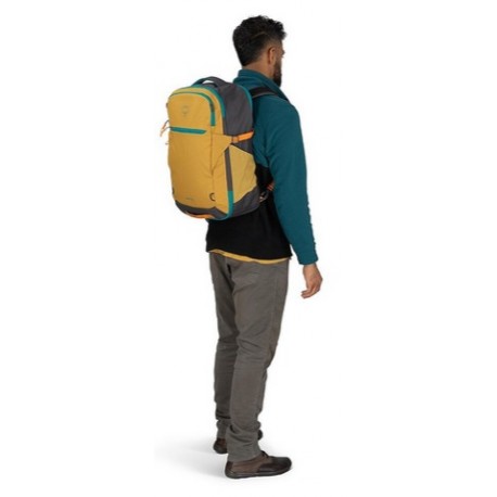 Daylite Travel Pack 35