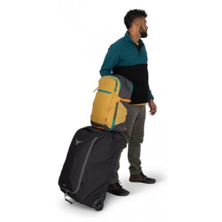 Daylite Travel Pack 35