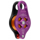 Pinto Rig 2 Pulley