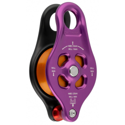 Pinto Rig 2 Pulley