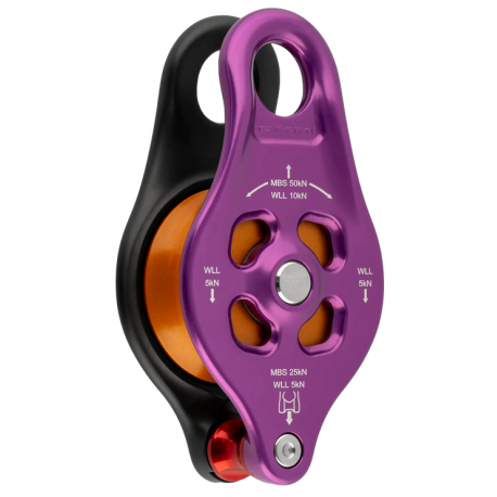 Pinto Rig 2 Pulley